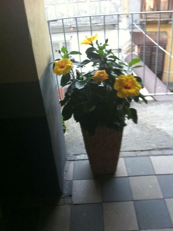 Appartamento In Centro Storico อัสตี ภายนอก รูปภาพ